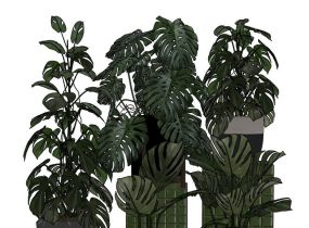 分享幾盆很有ins風的綠色植物盆栽SketchUp模型
