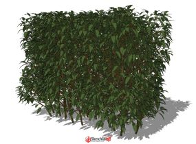 3D修剪綠籬灌木