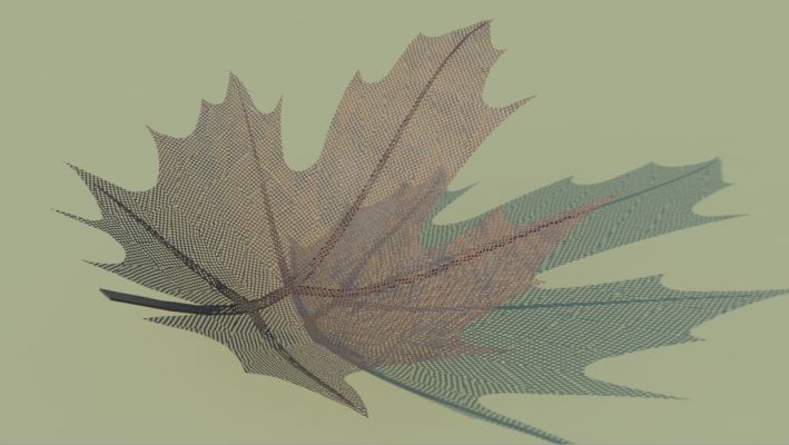 SketchUp楓葉建模教程