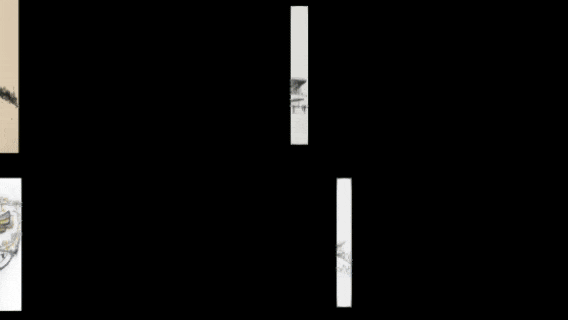 5.gif
