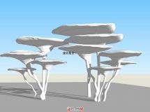 靈芝模型-3