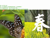 第一次用SU完成一套作品求點(diǎn)評-7