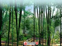 最近做的農(nóng)業(yè)項(xiàng)目效果圖~~~-7