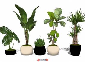 一套精細(xì)的植物盆栽模型-2