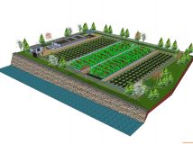 自己設(shè)計(jì)的濕地污水處理廠-3