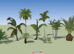 一套精細(xì)植物SU模型-4