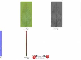 景觀植物佩蘭模型+材質(zhì)貼圖分享-8