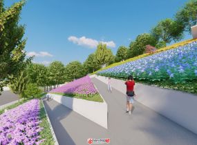新手新手-1
