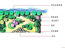別墅景觀設(shè)計改造-2