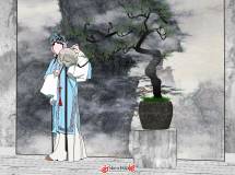 羅漢松SU模型下載-6