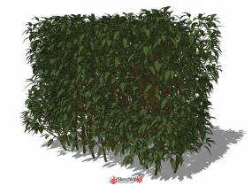 3D修剪綠籬灌木-3