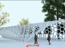 扭曲-2