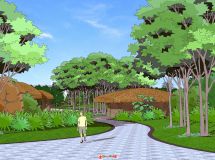 公園-15