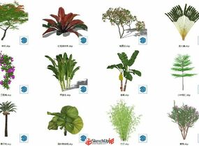 一些常見的園林熱帶3D植物-1