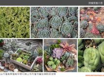 一所高中頂樓景觀規(guī)劃小品-17