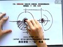 《AITOP徒手設計速寫專業(yè)訓練內部資料》光盤一05