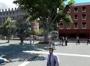 唯美城市生活Lumion動(dòng)畫